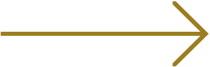 Link Arrow
