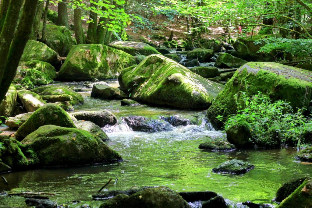 Das Höllbachtal in Rettenbach