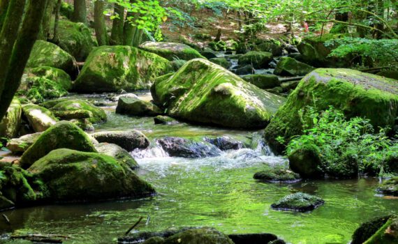 Das Höllbachtal in Rettenbach