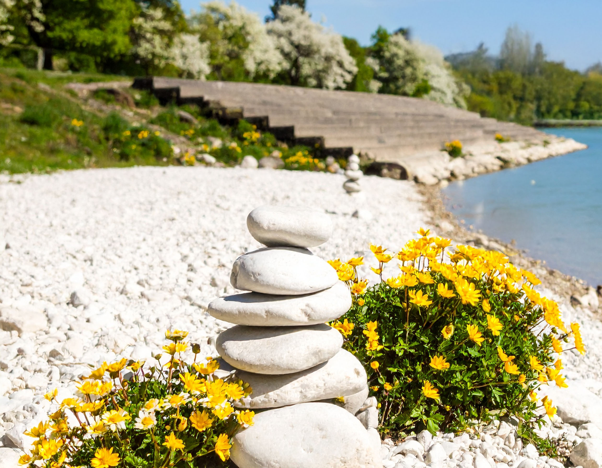 Ein sonniges Foto des Donaustrands in Schwabelweis. Im Vordergrund erstreckt sich ein Kiesstrand entlang des Ufers. Links davon befindet sich eine breite, gestufte Betontreppe, die zum Wasser hinabführt.